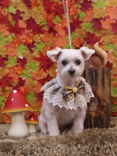 20241123ヒメちゃん